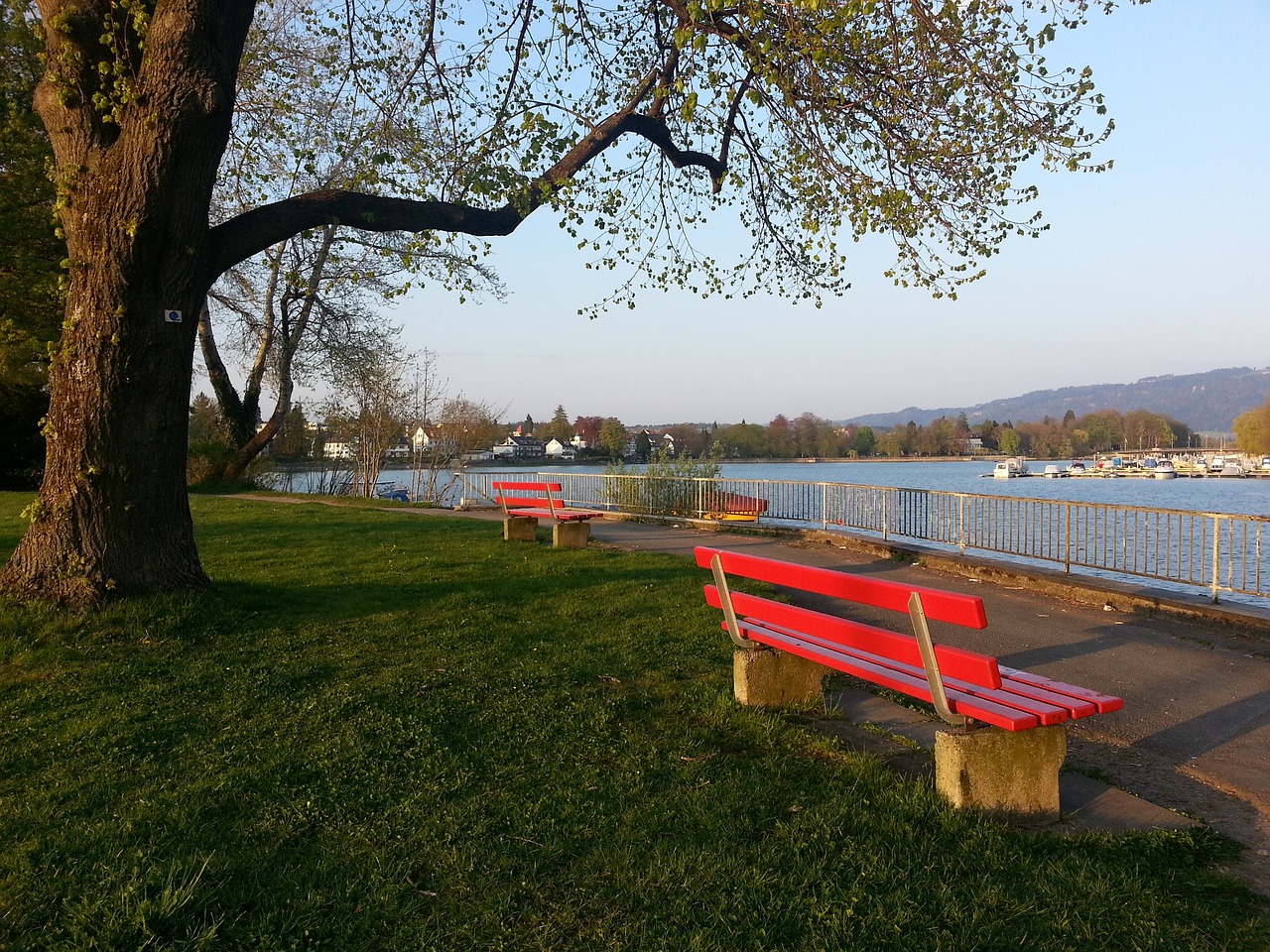 NBA半场：哈登19分，戈贝尔一级恶意，快船56-42领先森林狼